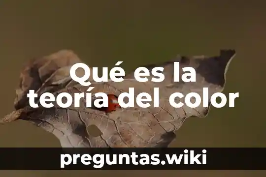Qué es la teoría del color
