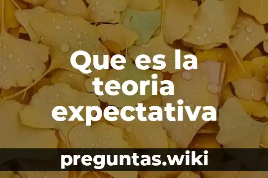 Que es la teoria expectativa