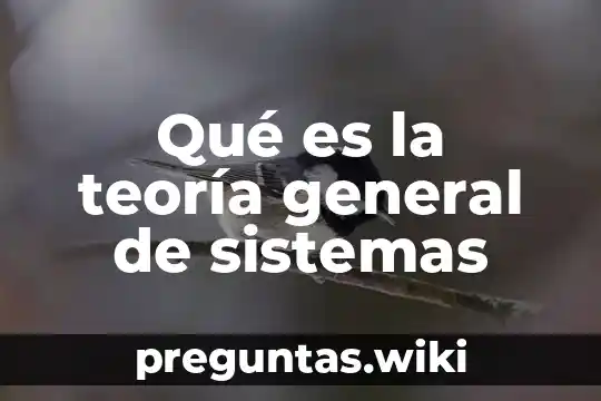 Qué es la teoría general de sistemas