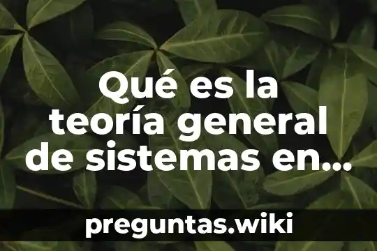 Qué es la teoría general de sistemas en administración