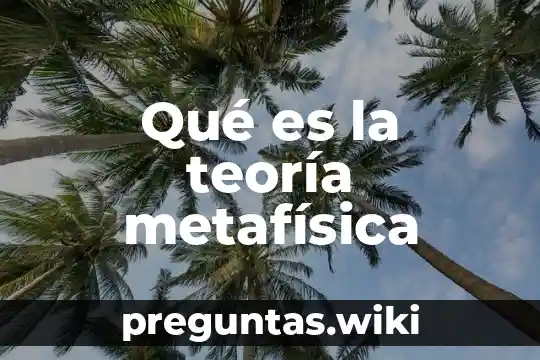 Qué es la teoría metafísica