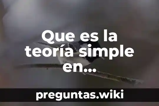 Que es la teoría simple en matemáticas