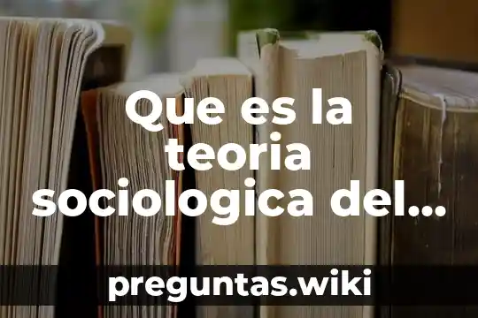 Que es la teoria sociologica del consumidor
