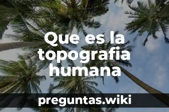 Que es la topografia humana