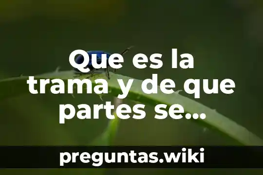Que es la trama y de que partes se compone