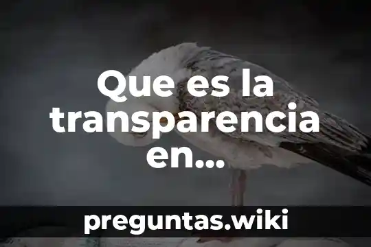 Que es la transparencia en arquitectura
