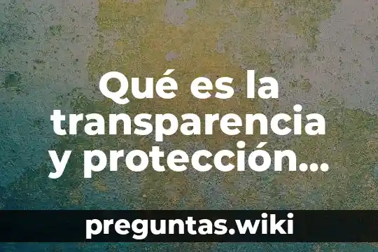 Qué es la transparencia y protección de datos personales