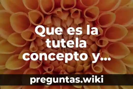 Que es la tutela concepto y tipos de tutela