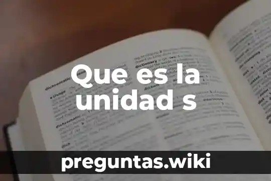 Que es la unidad s