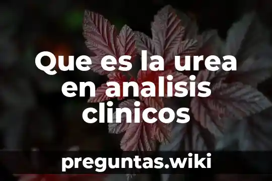 Que es la urea en analisis clinicos