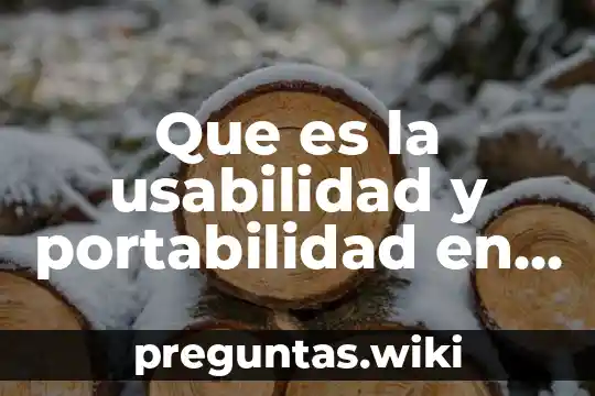 Que es la usabilidad y portabilidad en informatica