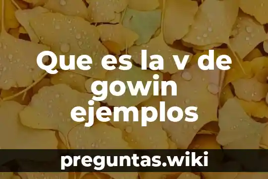 Que es la v de gowin ejemplos