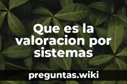 Que es la valoracion por sistemas