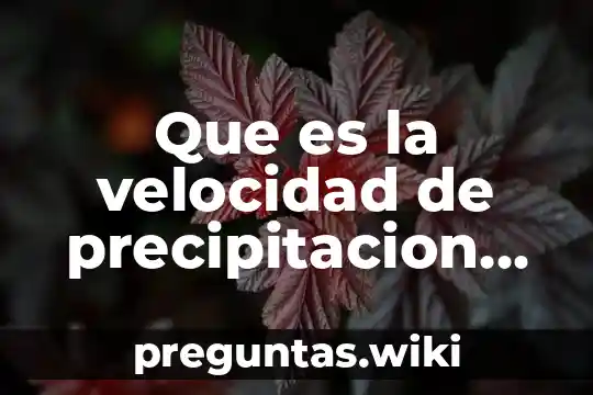 Que es la velocidad de precipitacion libre
