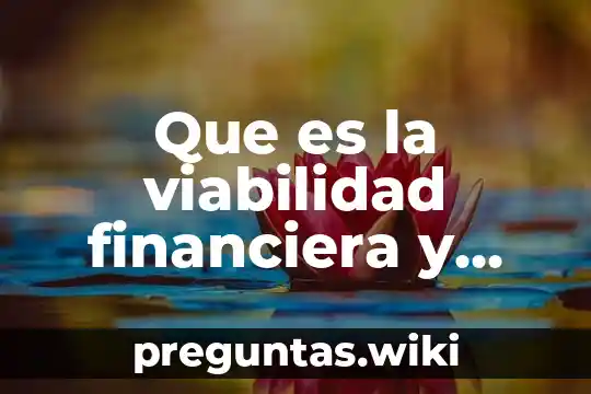 Que es la viabilidad financiera y economica