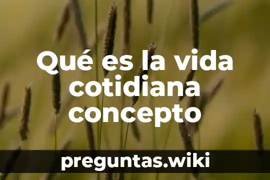 Qué es la vida cotidiana concepto
