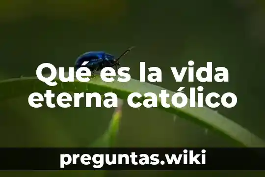 Qué es la vida eterna católico