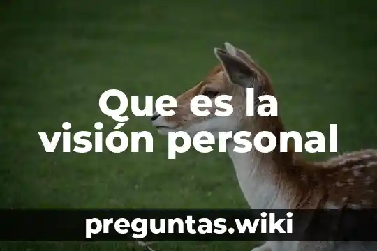 Que es la visión personal