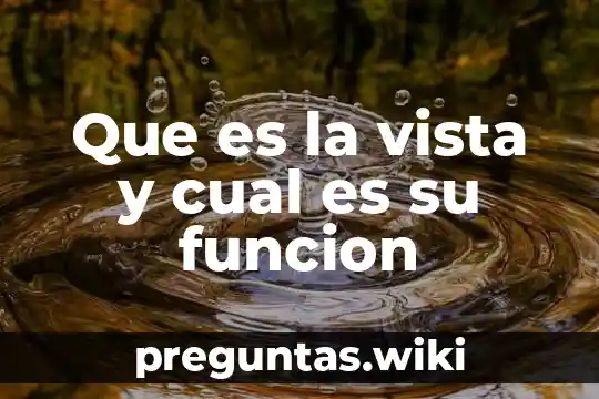 Que es la vista y cual es su funcion