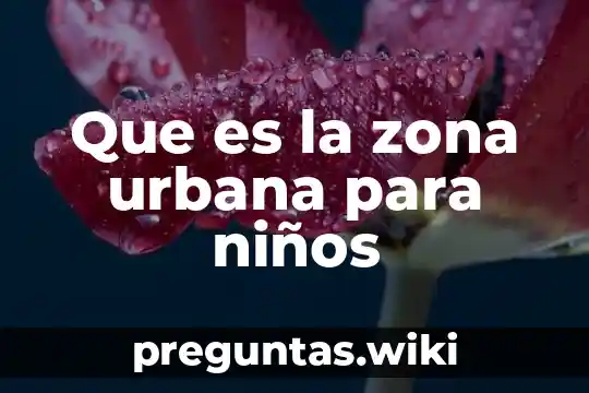 Que es la zona urbana para niños