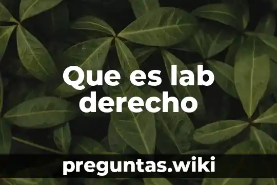 Que es lab derecho