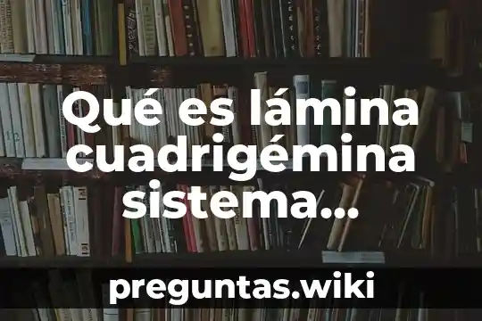 Qué es lámina cuadrigémina sistema nervioso
