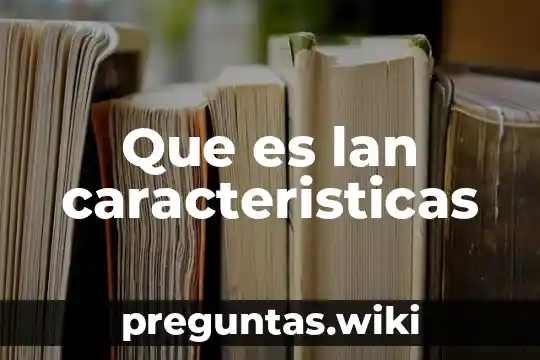 Que es lan caracteristicas