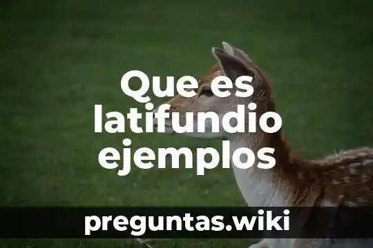 Que es latifundio ejemplos