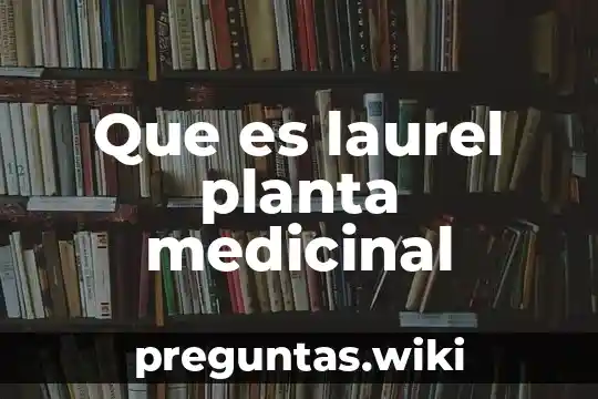Que es laurel planta medicinal