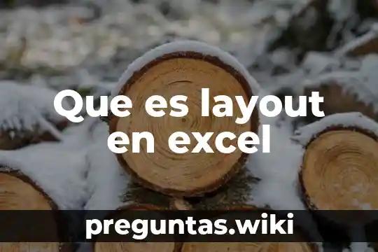 Que es layout en excel