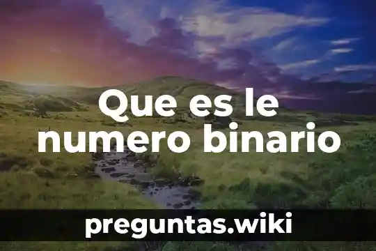Que es le numero binario