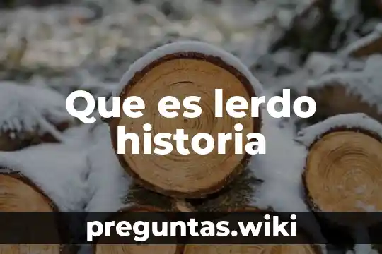 Que es lerdo historia
