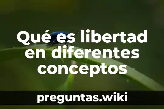 Qué es libertad en diferentes conceptos