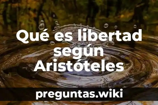 Qué es libertad según Aristóteles