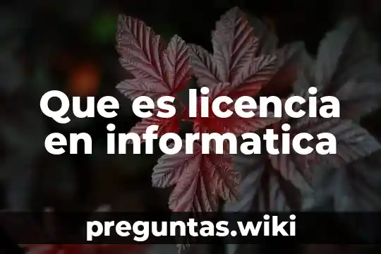 Que es licencia en informatica