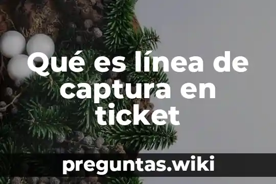 Qué es línea de captura en ticket