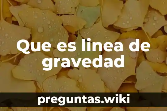 Que es linea de gravedad