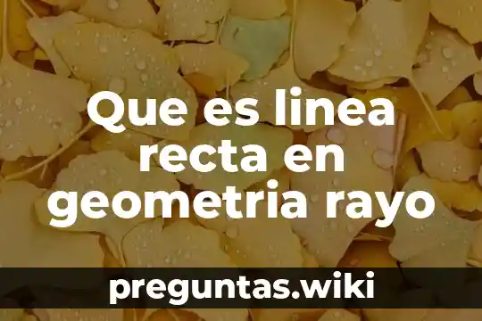 Que es linea recta en geometria rayo