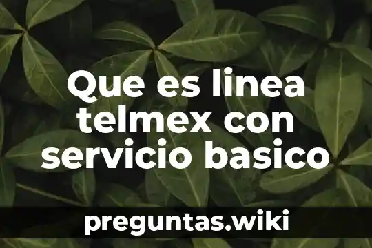 Que es linea telmex con servicio basico