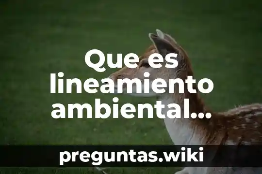 Que es lineamiento ambiental unico lau