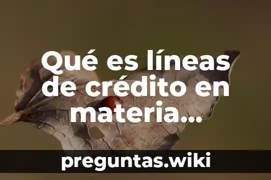 Qué es líneas de crédito en materia crediticia
