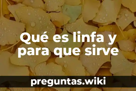 Qué es linfa y para que sirve