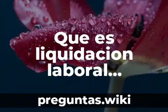 Que es liquidacion laboral concepto