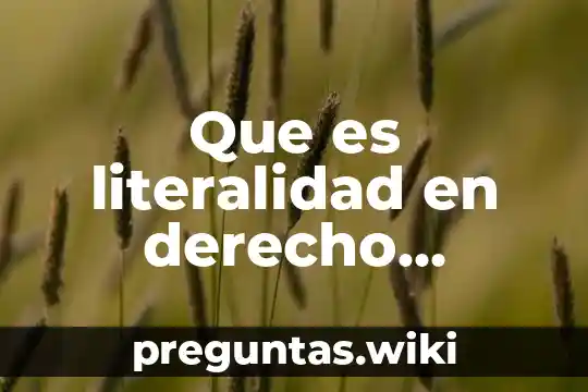 Que es literalidad en derecho mercantil