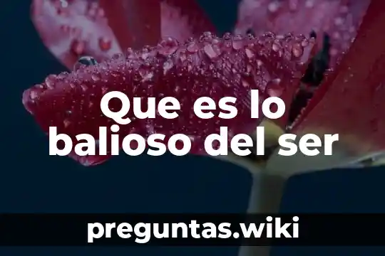Que es lo balioso del ser