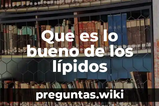 Que es lo bueno de los lípidos