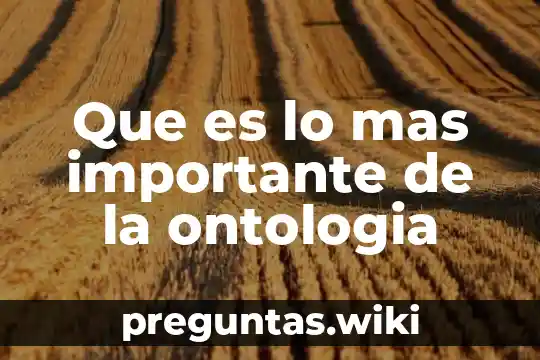 Que es lo mas importante de la ontologia