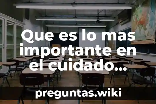 Que es lo mas importante en el cuidado ambiental