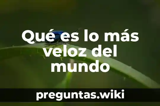 Qué es lo más veloz del mundo