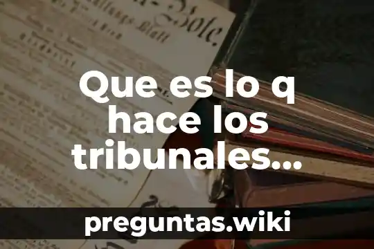 Que es lo q hace los tribunales internacionales de justicia